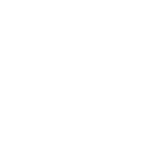 PDC Darts