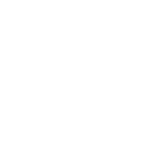 Premier League